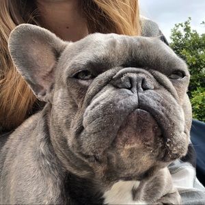 Meet your Posher, Jacque